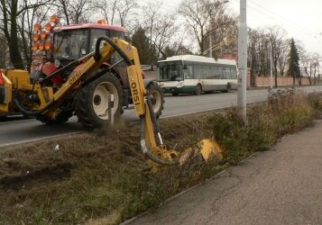 Zeleň a bezpečnost u silnic a chodníků